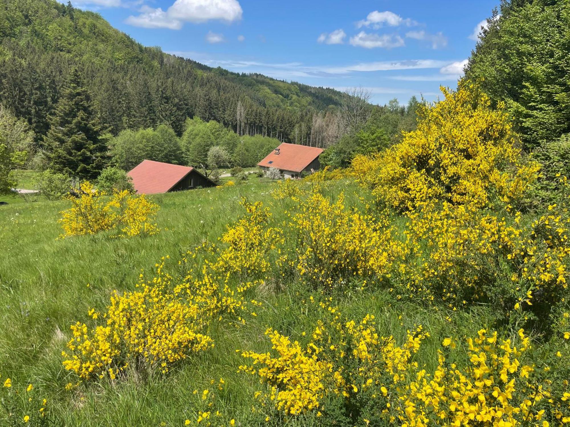 La Hutte Holiday home Tendon