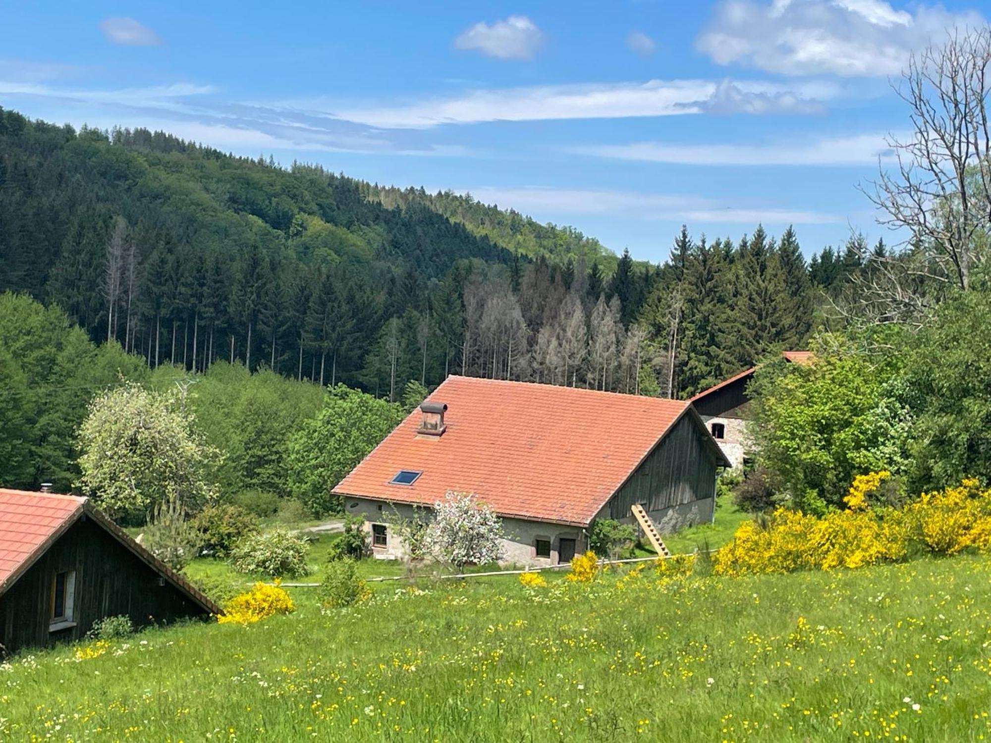 La Hutte